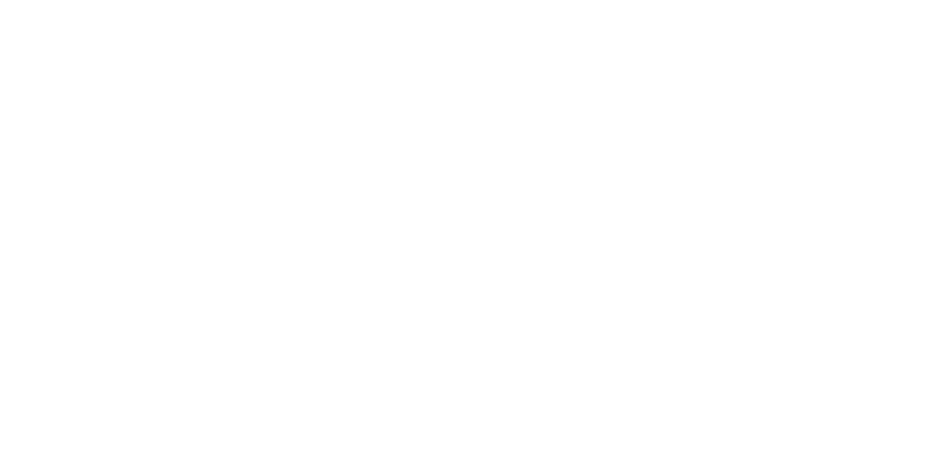 BevBridge